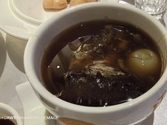 -聚春园自助餐厅(东街口店)