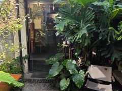 -吉丁鸟咖·异宠·寄养