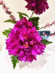 -今日陶艺(富力广场店)