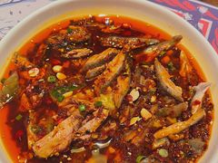 凉拌乌鸡-铁公鸡·四川料理(天环广场店)