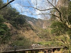 -雁荡山大龙湫景区