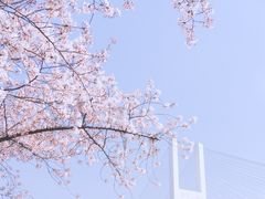 -上海南浦大桥长途旅游客运站