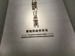 -秦始皇帝陵博物院-丽山园