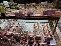 -新世界百货(明洞总店)