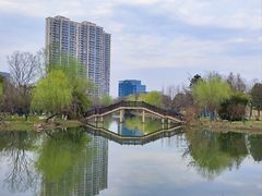 -洋湖国家湿地公园