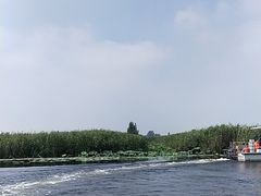 -白洋淀景区