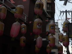 -猫咪博物馆(顶澳仔猫街店)