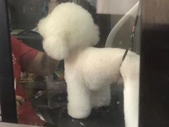 -久久宠物(河东万达店)