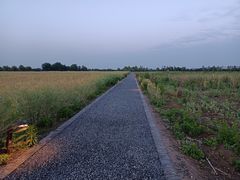 -汉长安城未央宫国家考古遗址公园