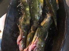 -王家渡火锅店(棕榈泉店)