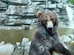 -北京野生动物园