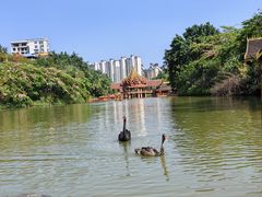 -西双版纳傣族园