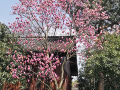 -杭州半山国家森林公园