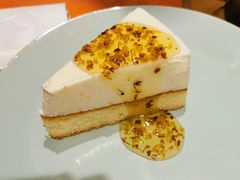 -古树酸奶(八廓南街店)