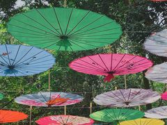 -广西壮族自治区药用植物园