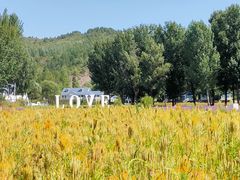 -紫海香堤香草艺术庄园