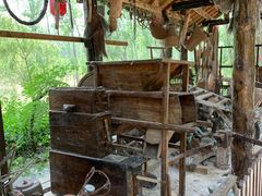 -合肥滨湖国家森林公园