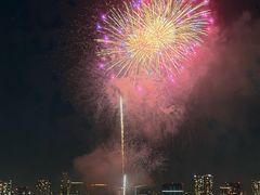 -台场海滨公园船码头