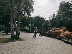 -荔湾湖公园