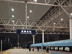 -成都东站