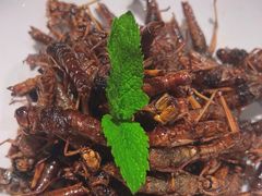 蚂蚱-燕春楼(海河华鼎店)