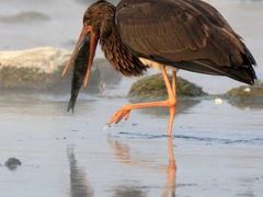 -沕沕水生态风景区