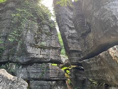 -梭布垭石林景区