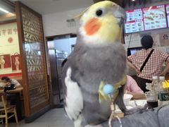 -五芳斋(中山大道总店)