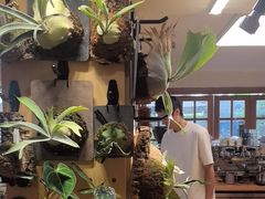 -本無咖啡·BeanWood Coffee