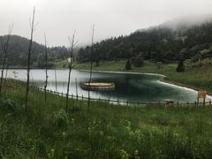 -武陵山森林公园