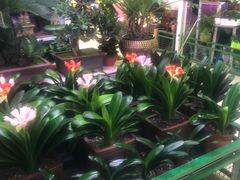 -三旗百汇商品城