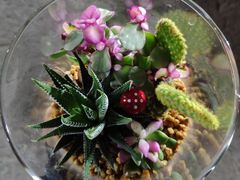 -真空冷面王(武功街店)