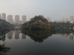 -重庆彩云湖湿地公园