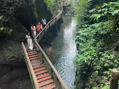 -青城山