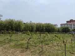 -哈尔滨工业大学(威海校区)