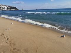 -海云台海滩