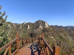 -大岭沟猕猴桃谷风景区