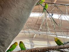 -南宫五洲植物乐园