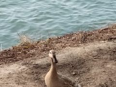-颐和园