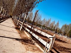 -北京群众马术培训基地