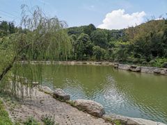 -广州市帽峰山景区