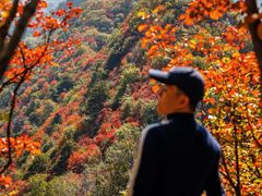 -秦岭终南山世界地质公园翠华山景区