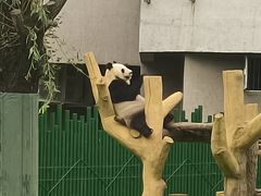 -沈阳森林动物园