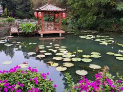-广州莲花山旅游区
