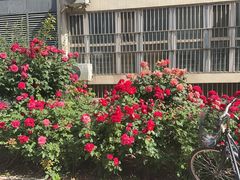 -北京邮电大学