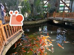 -南宫五洲植物乐园