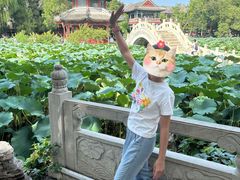 -莲池书院博物馆