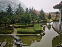 -洪湖悦兮半岛国际温泉度假村