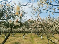 -白马涧龙池景区