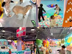 -顺德南宏海立方海洋公园